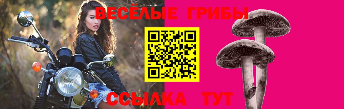 Галлюциногенные грибы ЛСД  Псилоцибиновые грибы MAGIC MUSHROOMS  Коркино  Вход с VPN 